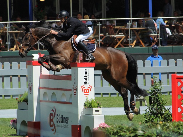 與許多天賦 與許多天賦