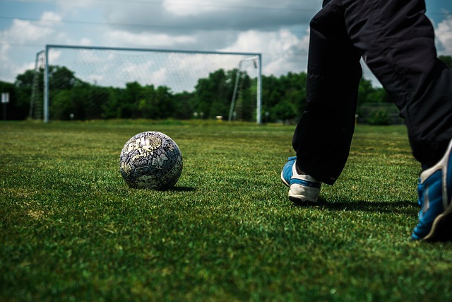 具有重要意 具有重要意